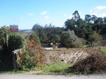 Terreno para Venda em Monte Real e Carvide