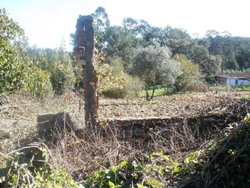 Terreno para Venda em Monte Real e Carvide