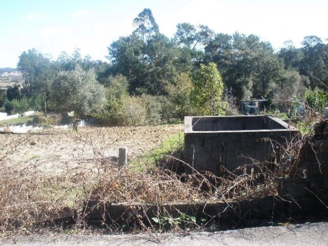 Terreno para Venda em Monte Real e Carvide Foto 2