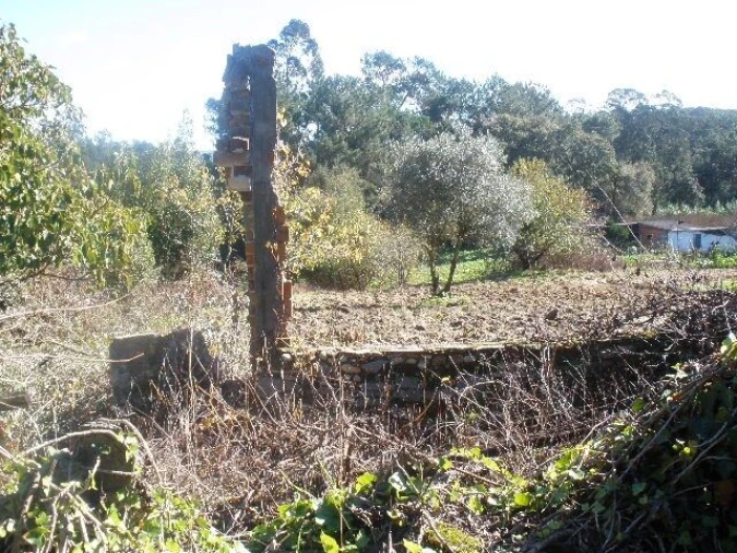 Terreno para Venda em Monte Real e Carvide Foto 3