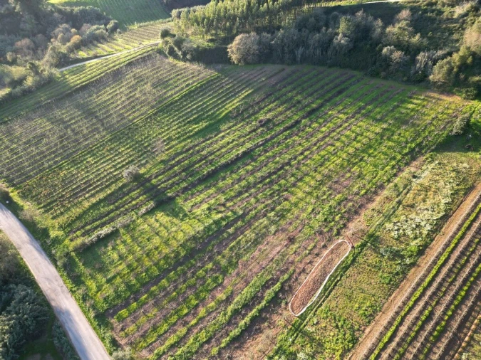 Terreno para Venda em Alvorninha Foto 5