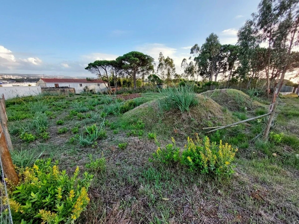 Terreno para Venda em Nadadouro Foto 5