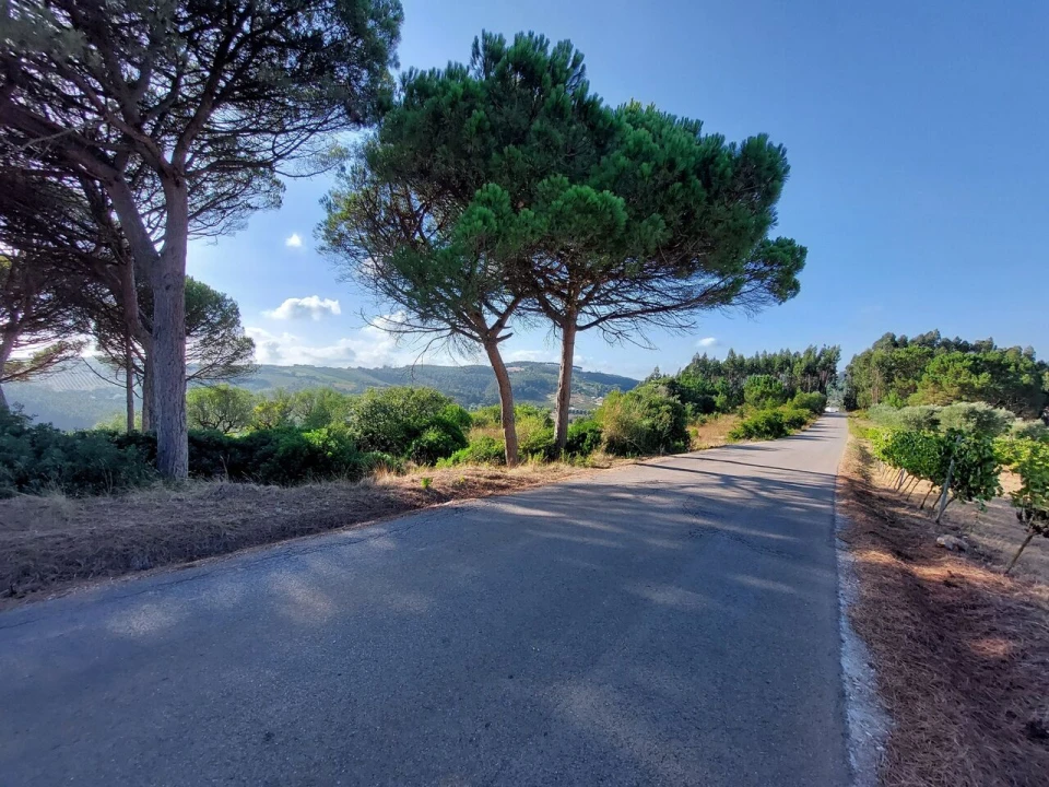Terreno para Venda em A dos Francos Foto 1