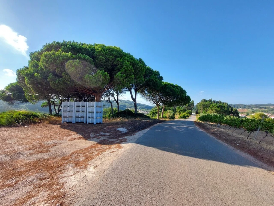 Terreno para Venda em A dos Francos Foto 3