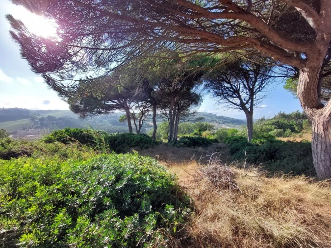 Terreno para Venda em A dos Francos Foto 5