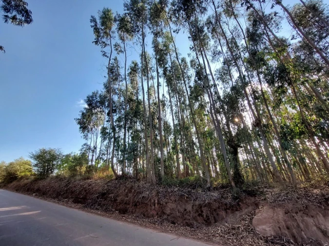 Terreno para Venda em A dos Francos Foto 13