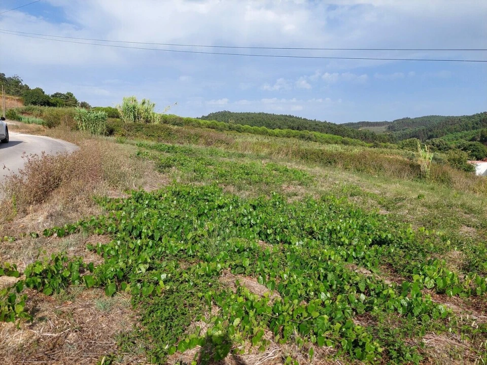 Terreno para Venda em Salir de Matos Foto 6
