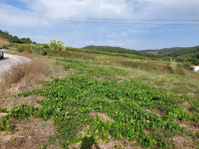 Terreno para Venda em Salir de Matos Foto 6