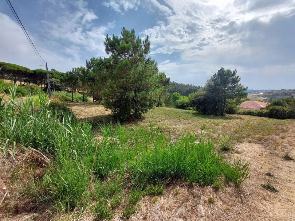 Terreno para Venda em Salir de Matos Foto 5