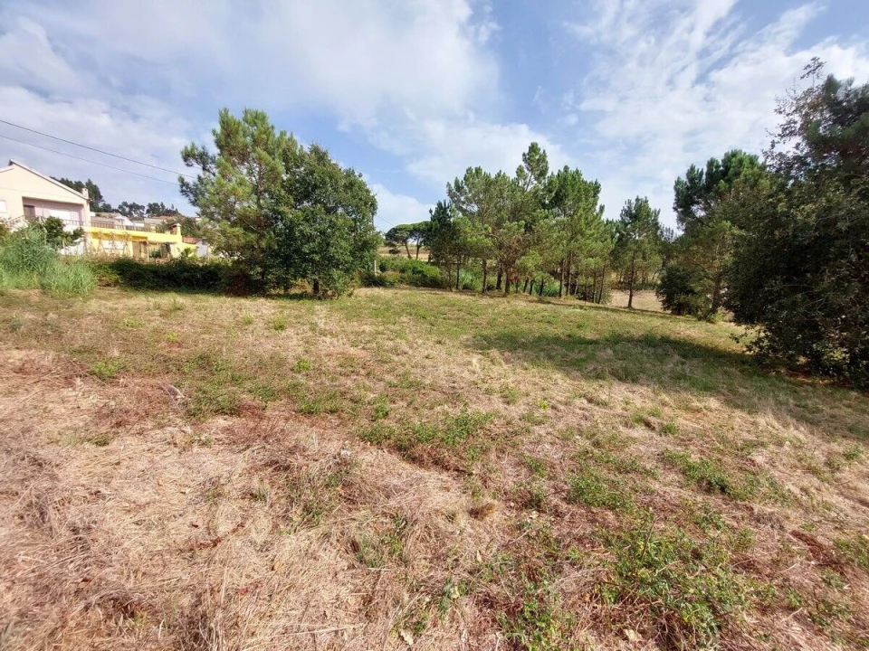 Terreno para Venda em Salir de Matos Foto 6