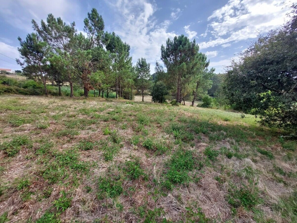 Terreno para Venda em Salir de Matos Foto 7
