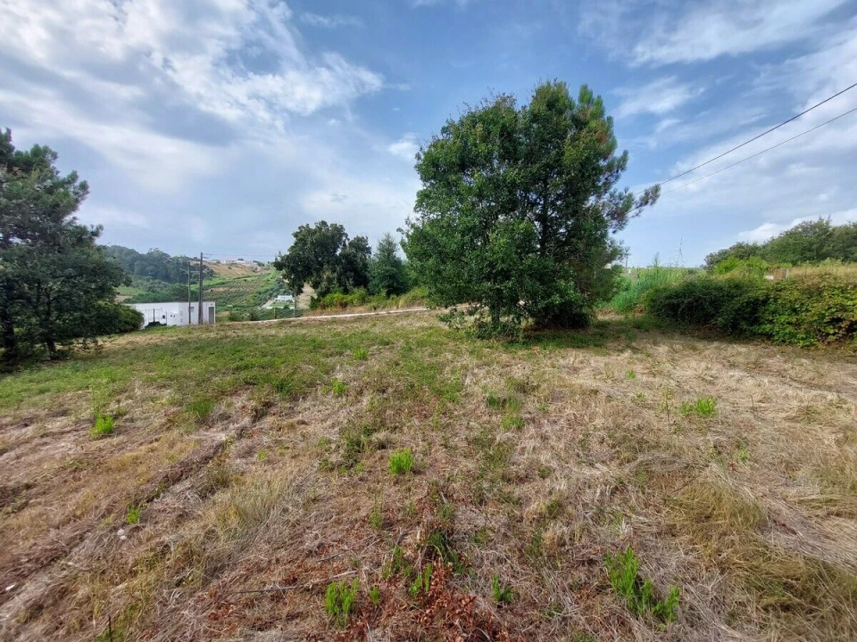 Terreno para Venda em Salir de Matos Foto 9