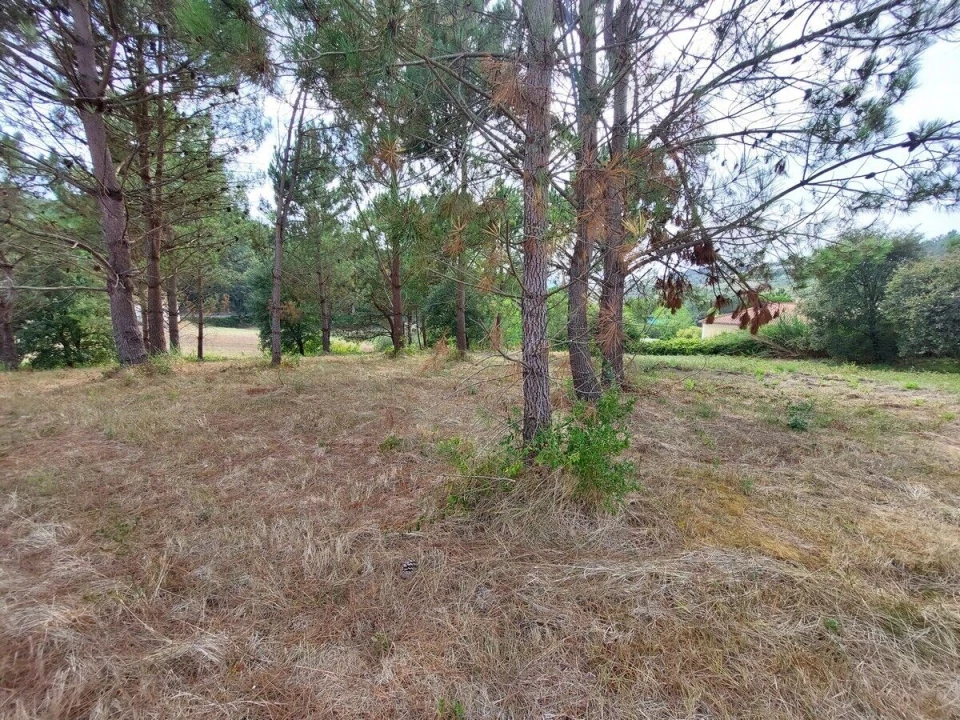 Terreno para Venda em Salir de Matos Foto 12