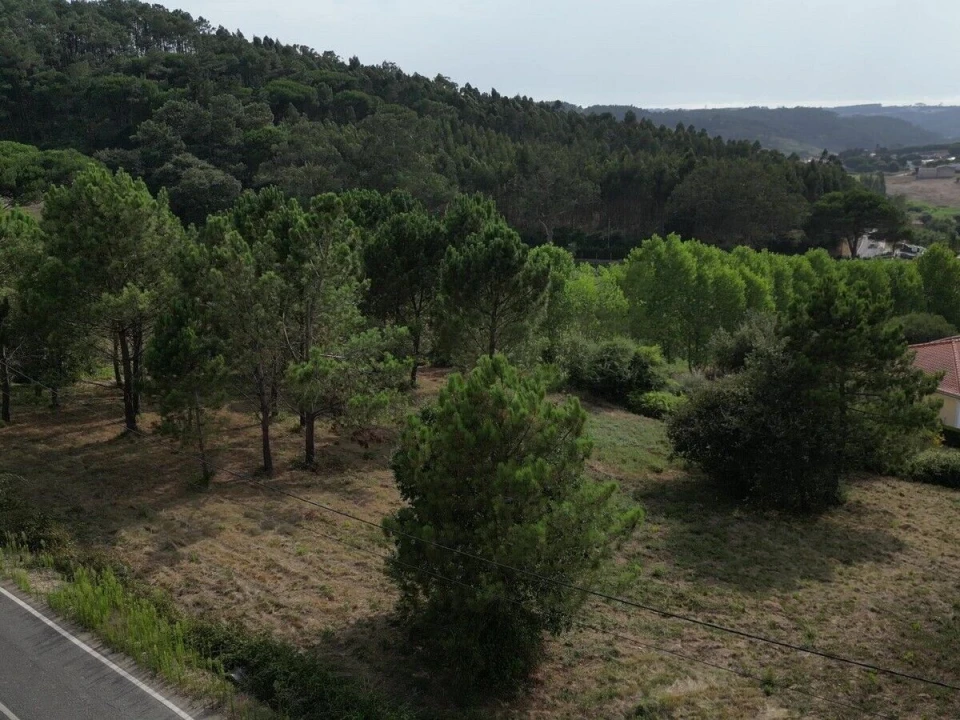 Terreno para Venda em Salir de Matos Foto 14