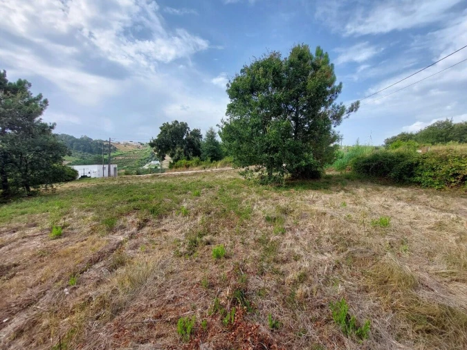 Terreno para Venda em Salir de Matos Foto 9