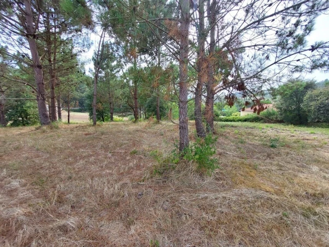 Terreno para Venda em Salir de Matos Foto 12