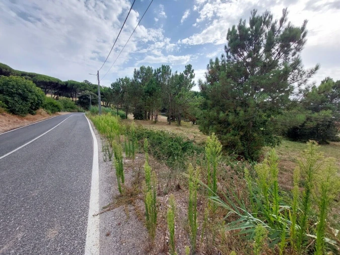 Terreno para Venda em Salir de Matos Foto 13