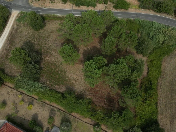Terreno para Venda em Salir de Matos Foto 18