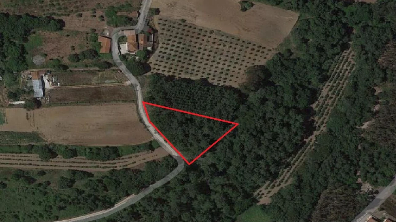 Terreno para Venda em Salir de Matos Foto 2