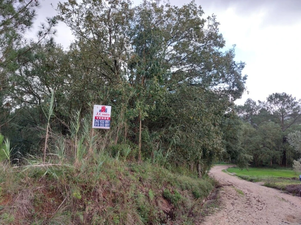 Terreno para Venda em Salir de Matos Foto 3