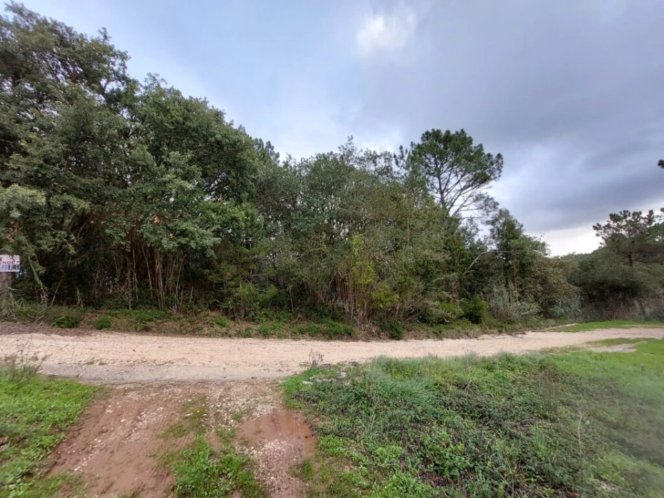 Terreno para Venda em Salir de Matos Foto 6