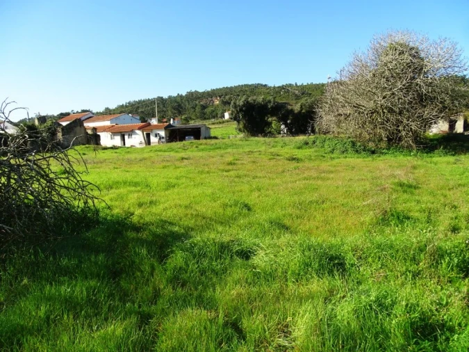 Terreno para Venda em Famalicão Foto 4