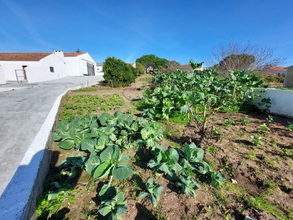 Moradia T3 para Venda em Alvorninha Foto 25