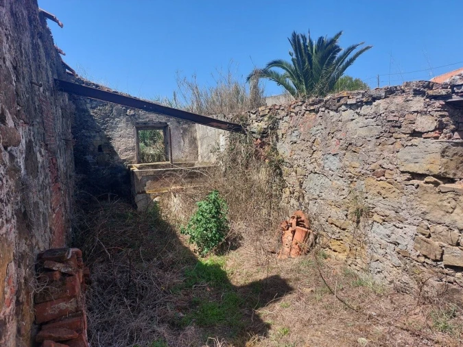 Terreno para Venda em Caldas da Rainha - Santo Onofre e Serra do Bouro Foto 13