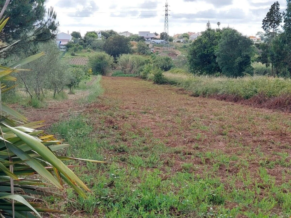 Moradia T5 para Venda em Gaeiras Foto 44