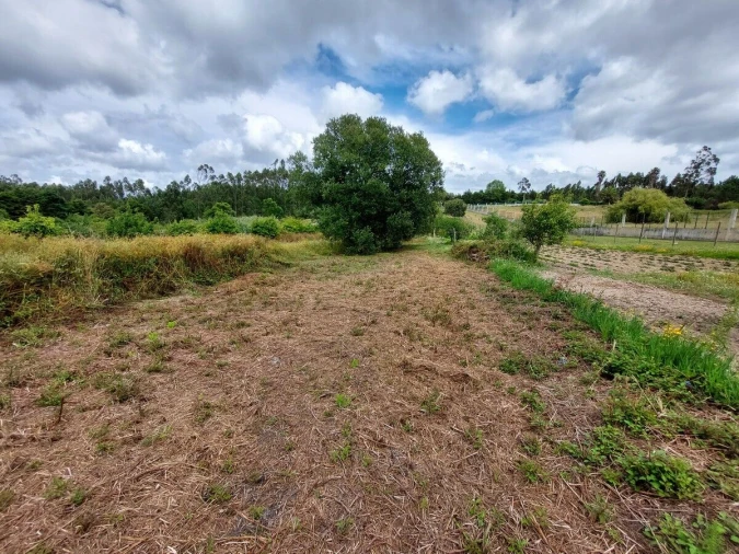 Moradia T5 para Venda em Gaeiras Foto 39