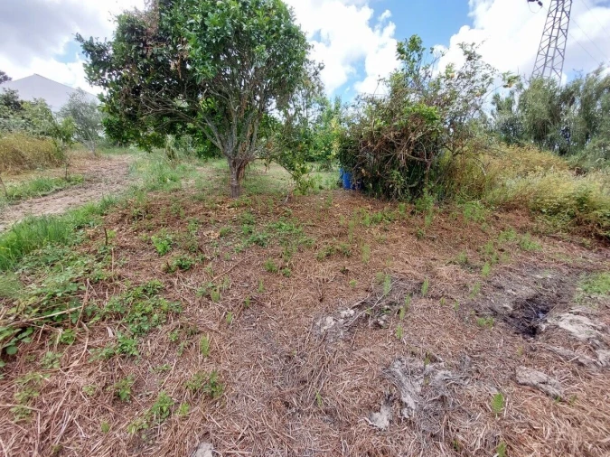 Moradia T5 para Venda em Gaeiras Foto 40