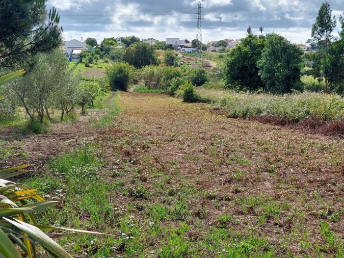 Moradia T5 para Venda em Gaeiras Foto 45