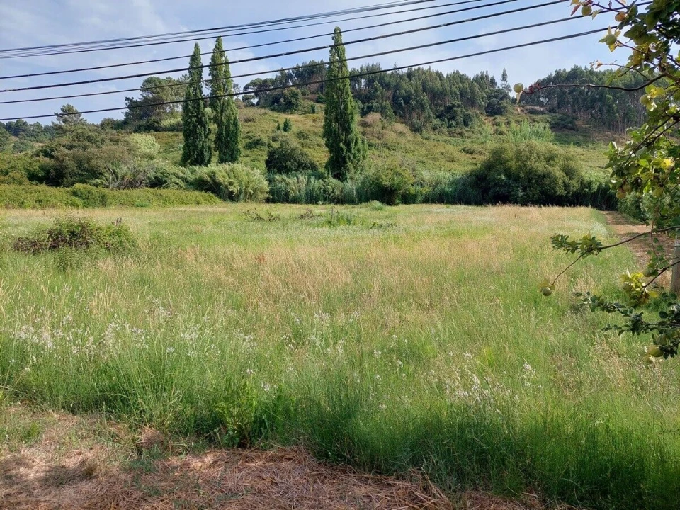 Terreno para Venda em Salir de Matos Foto 5