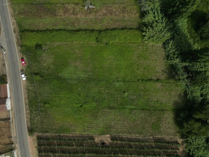 Terreno para Venda em Salir de Matos Foto 9
