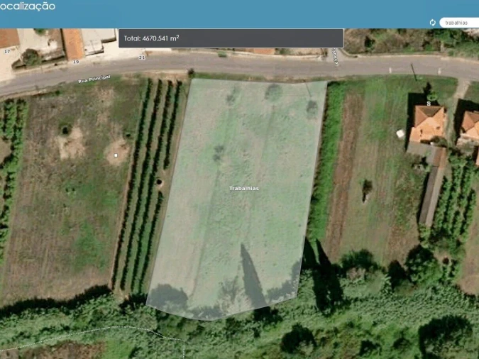 Terreno para Venda em Salir de Matos Foto 10