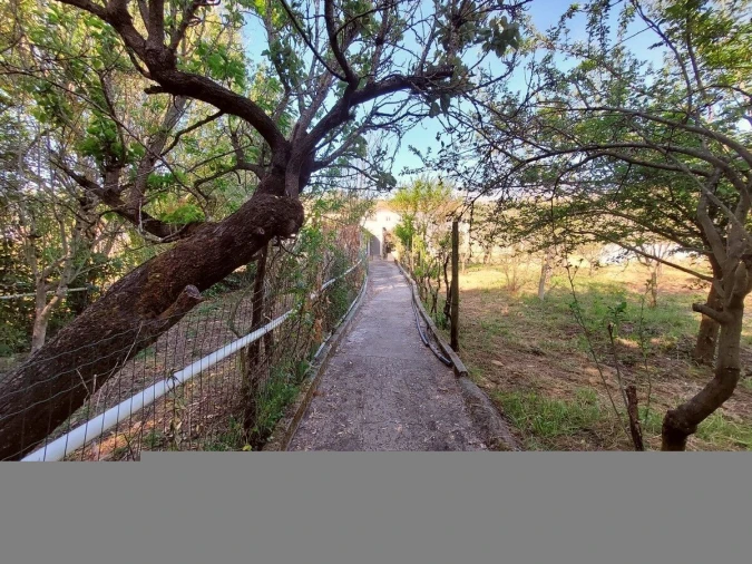 Moradia T4 para Venda em Vimeiro Foto 59