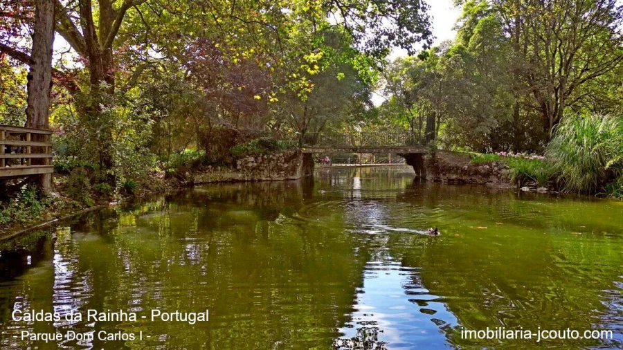 Loja para Venda em Nossa Senhora do Pópulo, Coto e São Gregório Foto 15