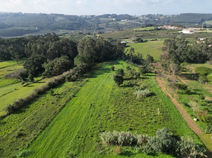 Terreno para Venda em Salir de Matos Foto 12