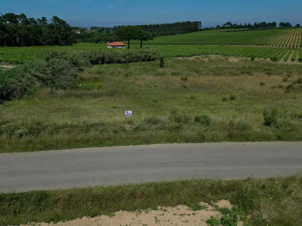 Terreno para Venda em Reguengo Grande Foto 4