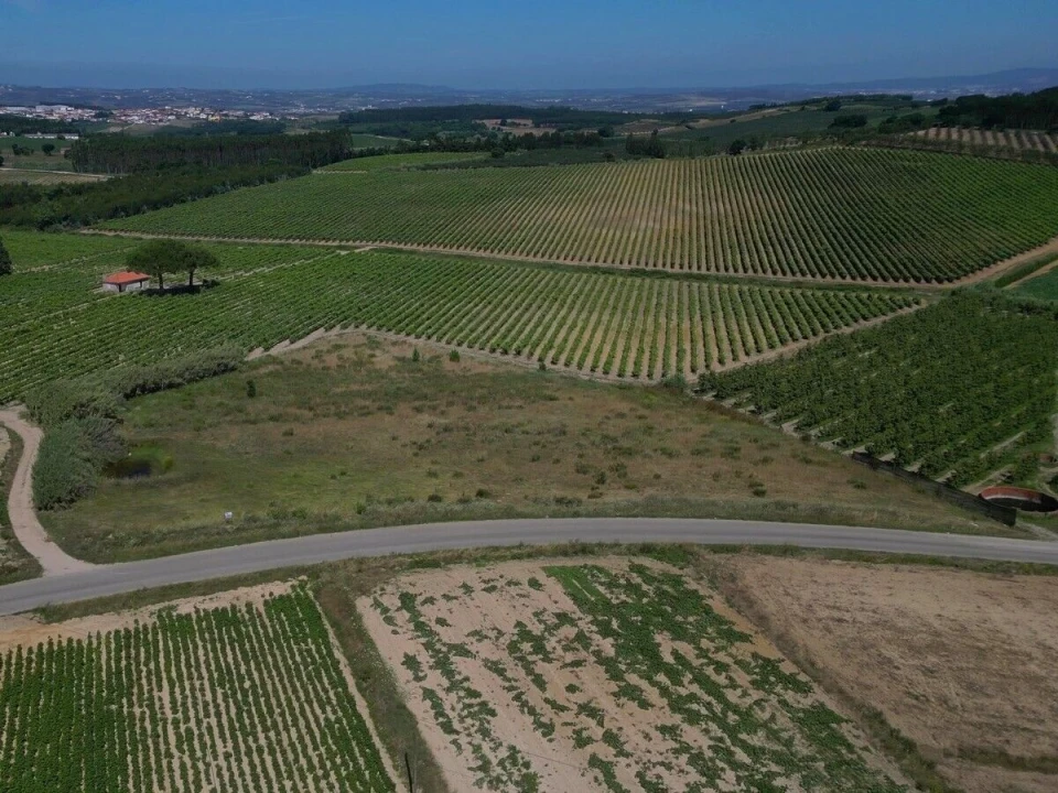Terreno para Venda em Reguengo Grande Foto 5