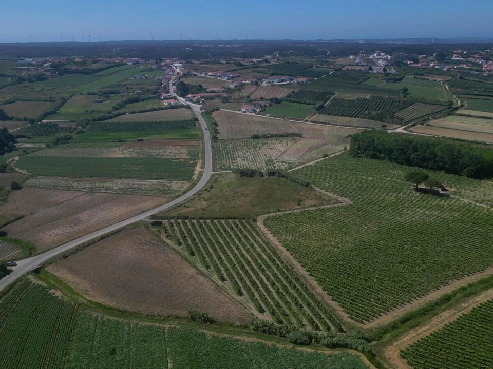 Terreno para Venda em Reguengo Grande Foto 6