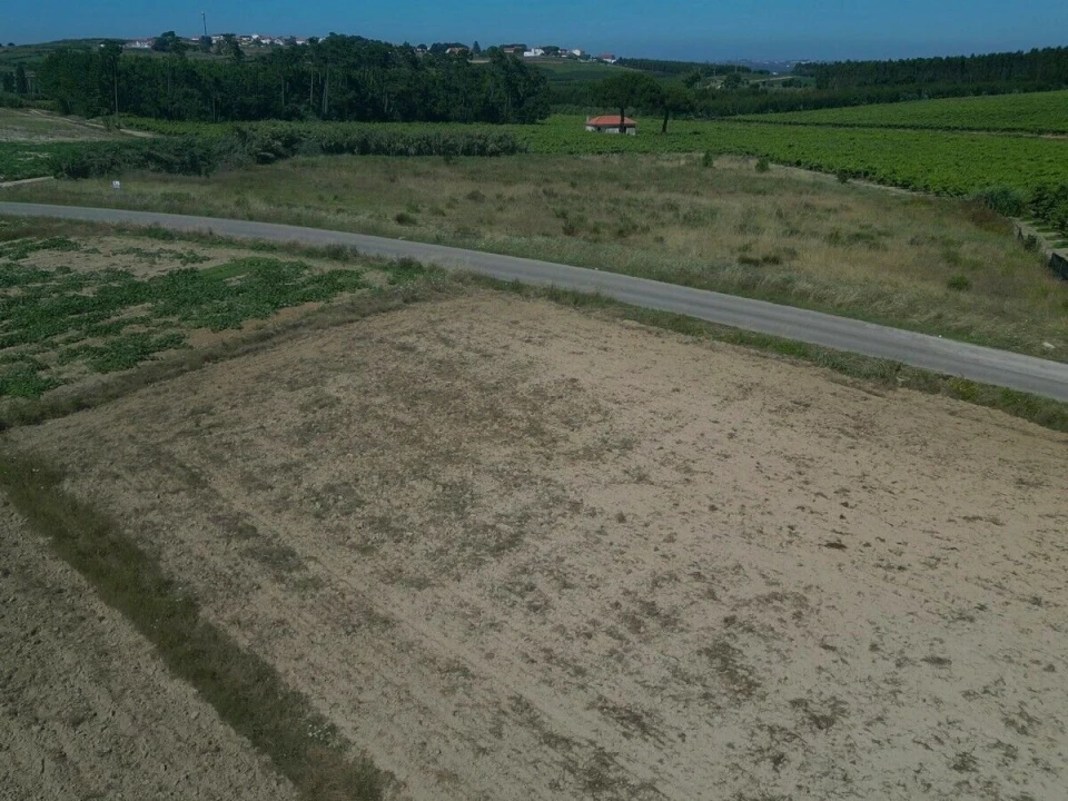 Terreno para Venda em Reguengo Grande Foto 7