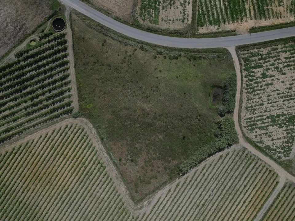 Terreno para Venda em Reguengo Grande Foto 9