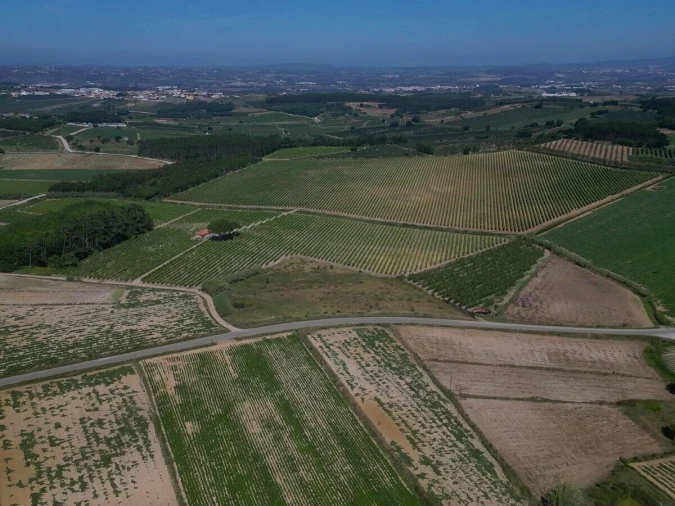 Terreno para Venda em Reguengo Grande Foto 3