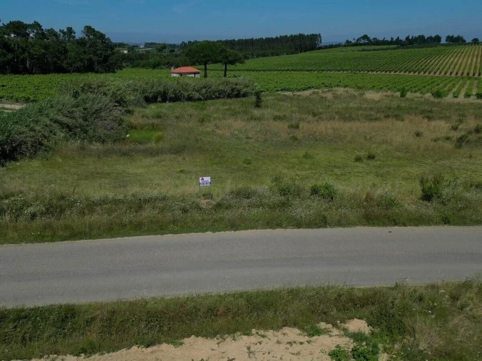 Terreno para Venda em Reguengo Grande Foto 4