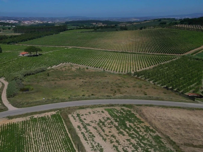 Terreno para Venda em Reguengo Grande Foto 5