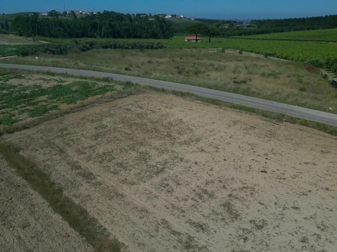 Terreno para Venda em Reguengo Grande Foto 7