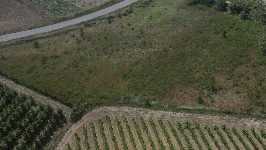 Terreno para Venda em Reguengo Grande