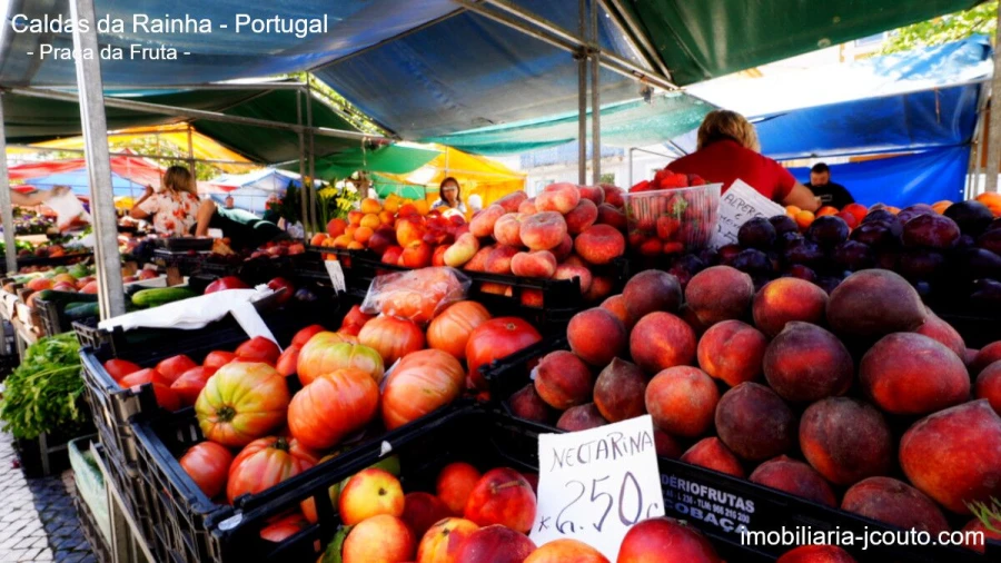 Loja para Venda em Nossa Senhora do Pópulo, Coto e São Gregório Foto 10
