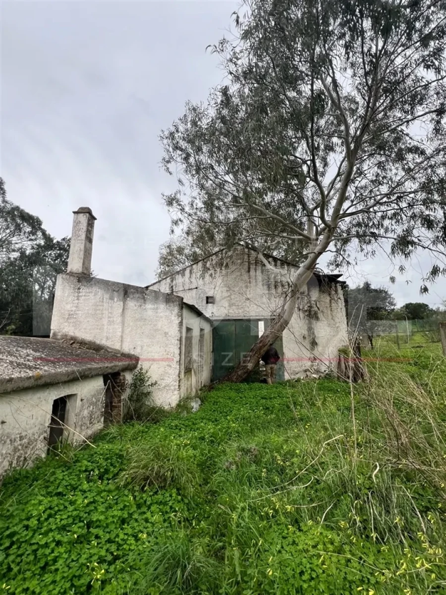 Moradia T4 para Venda em Arraiolos Foto 9